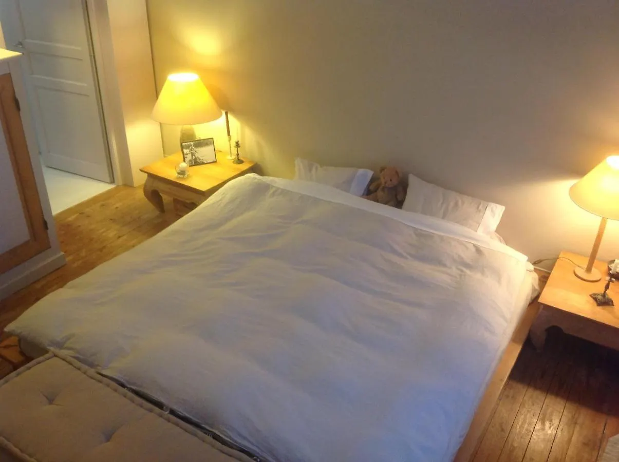 Petit Cocon Lillois:Cheminee & Jardin Appartement Rijsel Accommodatie bij particulieren