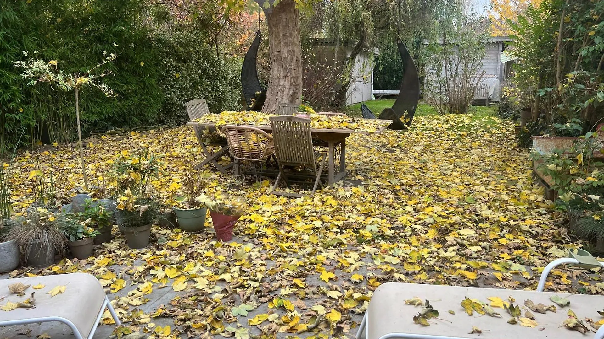 Homestay Petit Cocon Lillois:Cheminee & Jardin Apartment Lille France